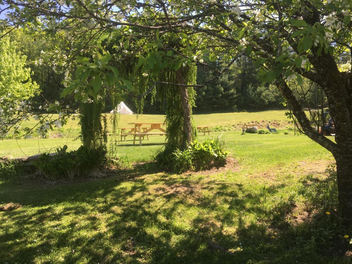 Craftsbury Farmhouse Eksteriør bilde